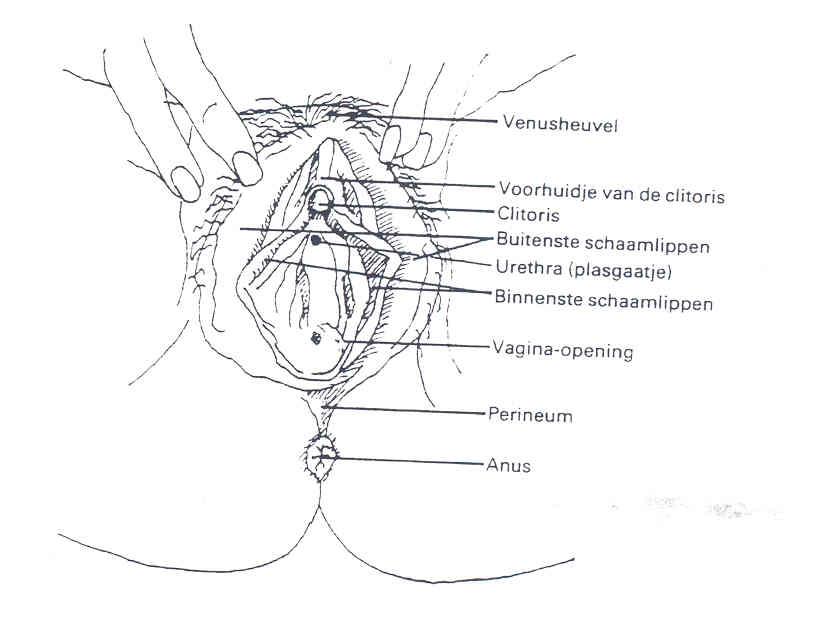 Scan Moniek 2
